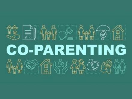 Wisconsin co-parenting