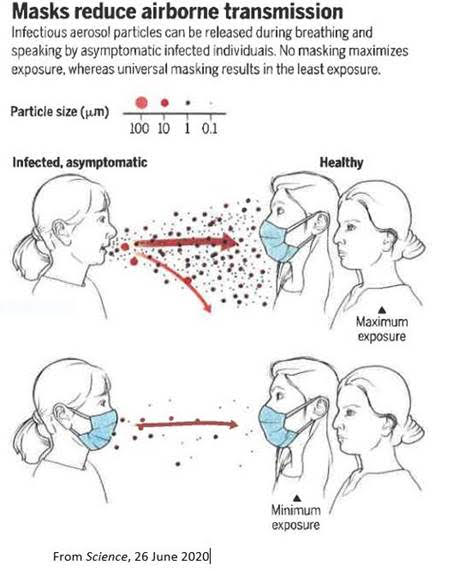 using a mask can prevent COVID-19 infections