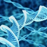DNA-database