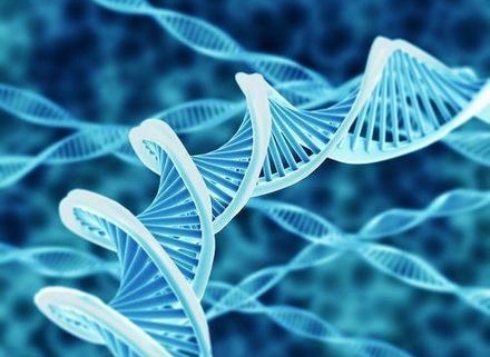 DNA-database