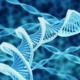 DNA-database
