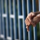 Wrongful Arrests