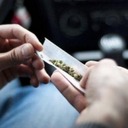 marijuana laws