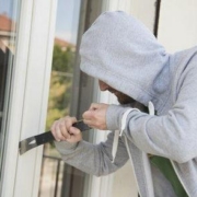 types-of-theft